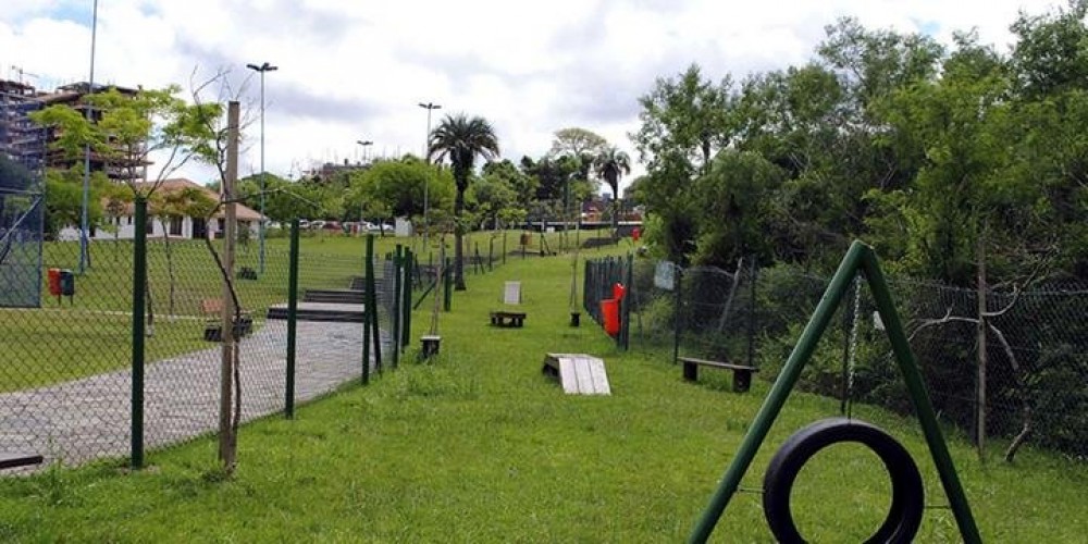 O Vereador Paulo Schuh Busca Projeto de Lei para trazer o Lazer e a Recreação entre Humanos e Cães